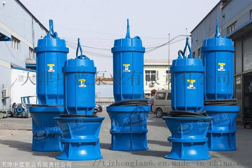 潛水貫流泵 河道灌溉斜坡專用設(shè)計與臥式全貫流泵的應(yīng)用